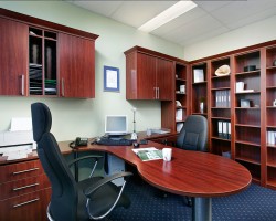 Custom Office